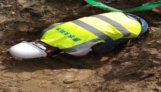 秋收稻田香  漏點(diǎn)一處綠金光